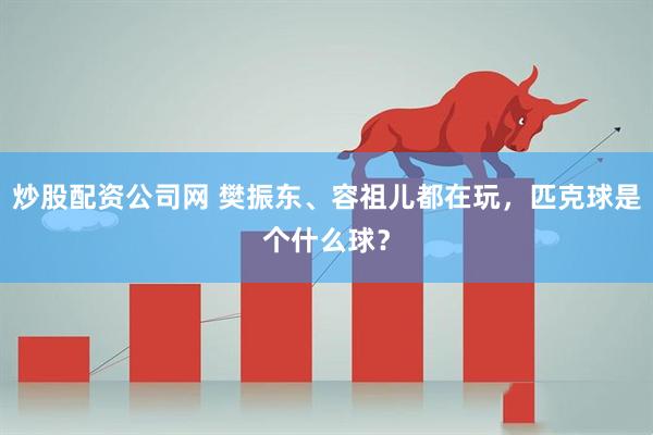 炒股配资公司网 樊振东、容祖儿都在玩，匹克球是个什么球？
